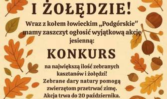 Konkurs na największą ilość zebranych kasztanów i żołędzi.