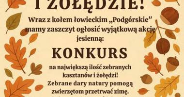 Konkurs na największą ilość zebranych kasztanów i żołędzi.