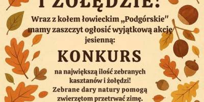 Konkurs na największą ilość zebranych kasztanów i żołędzi.