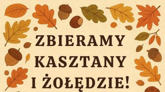 Konkurs na największą ilość zebranych kasztanów i żołędzi.