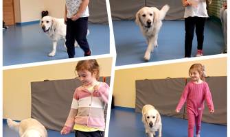 Dogoterapia -cykl zajęć w przedszkolu.